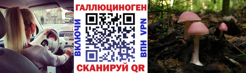 дарк нет клад  Абинск  Галлюциногенные грибы Cubensis 