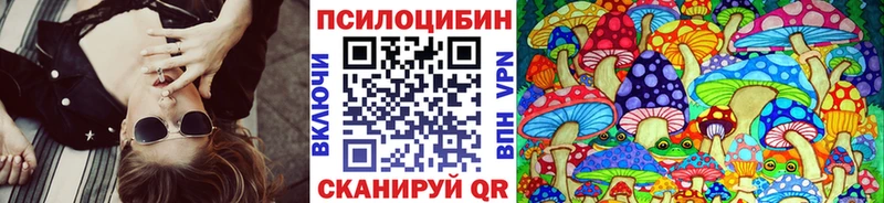 Псилоцибиновые грибы Psilocybe Абинск